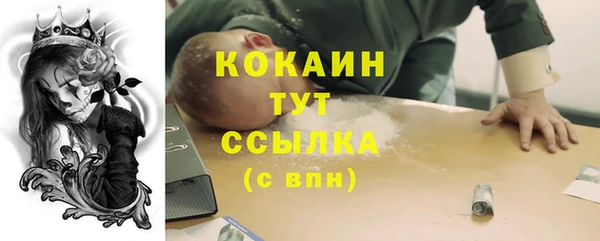 крисы Белая Холуница
