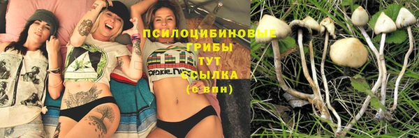 а пвп мука Бежецк